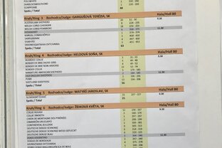 Zväčšiť fotografiu - Medzinárodná výstava psov fci